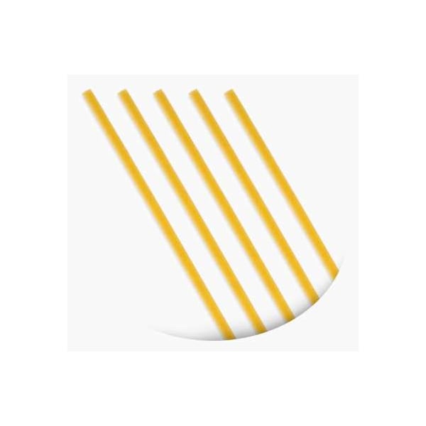Dakota Growers Fettuccini 10" Long Pasta 10lbs, PK2 6738796320 - main